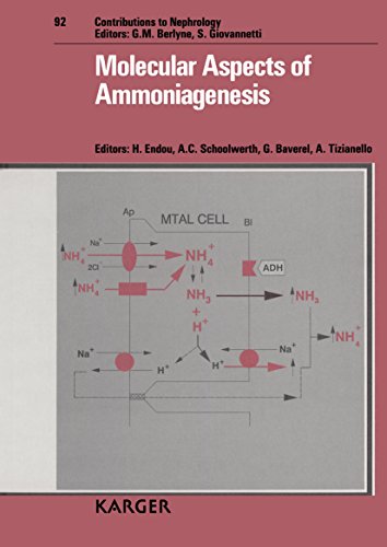 Beispielbild fr Molecular Aspects of Ammoniagenesis zum Verkauf von Ammareal