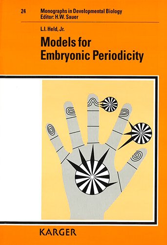 9783805560085: Models for Embryonic Periodicity: 24