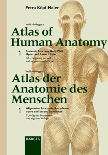 Stock image for Wolf-Heidegger's Atlas of Human Anatomy /Wolf-Heideggers Atlas der Anatomie des Menschen. Complete set. Latin Nomenclature: Wolf-Heideggers Atlas der . Rumpfwand, obere und untere Extremitt for sale by medimops