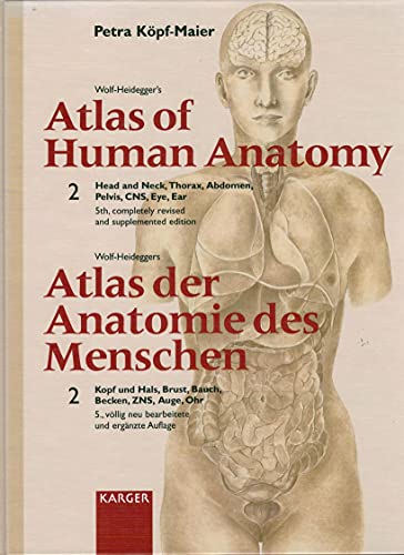 Imagen de archivo de Wolf-Heidegger's Atlas of Human Anatomy / Wolf-Heideggers Atlas der Anatomie des Menschen: Latin nomenclature Volume 2: Head and Neck, Thorax, Abdomen, Pelvis, CNS, Eye, Ear a la venta por HPB-Red