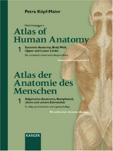 Beispielbild fr Wolf-Heidegger's Atlas of Human Anatomy: Systemic Anatomy, Body Wall, Upper and Lower Limbs (Volume 1) zum Verkauf von Anybook.com