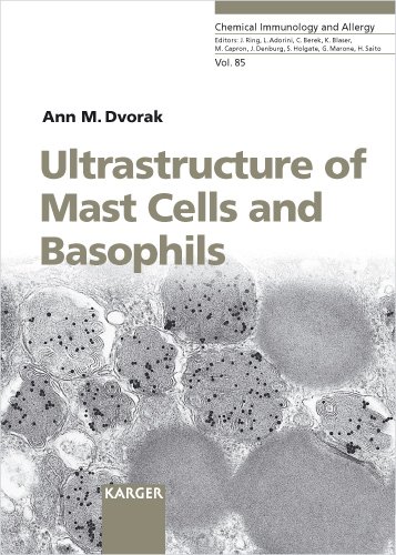 Imagen de archivo de Ultrastructure of Mast Cells And Basophils (Chemical Immunology and Allergy 85) a la venta por Zubal-Books, Since 1961