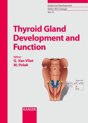 9783805582964: Thyroid Gland Development and Function (Endocrine Development)
