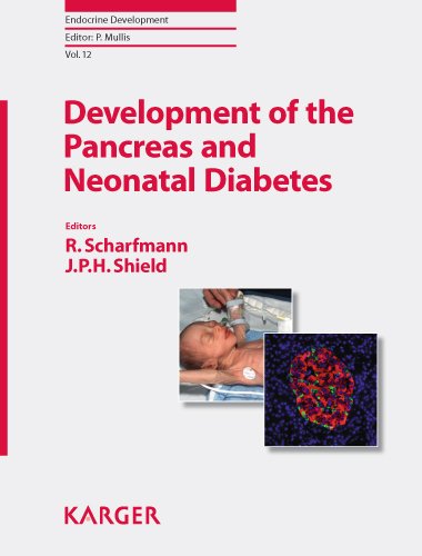 Stock image for Development Of The Pancreas And Neonatal Diabetes for sale by Basi6 International