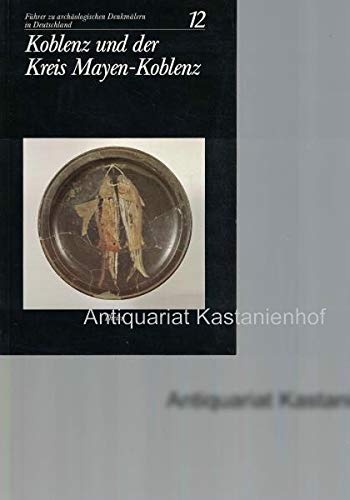 9783806204629: Koblenz und der Kreis Mayen-Koblenz (Führer zu archäologischen Denkmälern in Deutschland) (German Edition)