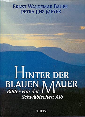 Stock image for Hinter der blauen Mauer for sale by medimops