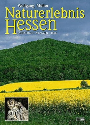 Beispielbild fr Naturerlebnis Hessen. Sonderausgabe: Landschaft - Pflanzen - Tiere zum Verkauf von medimops