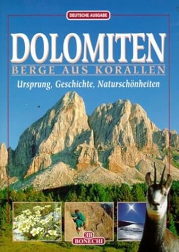 Dolomiten, Berge aus Korallen - Innocenti, Andrea