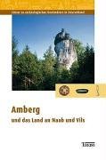 9783806218770: Amberg und das Land an Naab und Vils