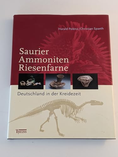 Stock image for Saurier - Ammoniten - Riesenfarne Deutschland in der Kreidezeit for sale by Antiquariat Stefan Krger