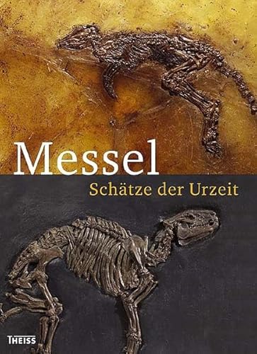 Stock image for Messel - Schtze der Urzeit. Begleitbuch zur Ausst. Messel on Tour Darmstadt 2007. for sale by Mller & Grff e.K.