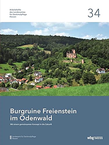 Stock image for Burgruine Freienstein im Odenwald: Mit einem gemeinsamen Konzept in die Zukunft for sale by Revaluation Books