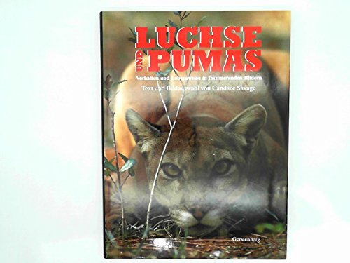 9783806720730: Luchse und Pumas. Verhalten und Lebensweise in faszinierenden Bildern