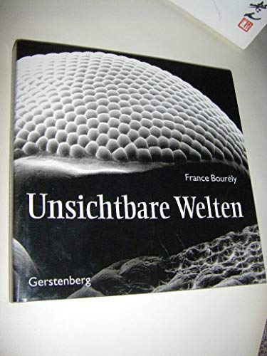 Beispielbild fr Unsichtbare Welten. Von der Schnheit des Mikrokosmos. Aus dem Franzsischen von Eva Plorin und Alexandra Brehme. zum Verkauf von Antiquariat am St. Vith