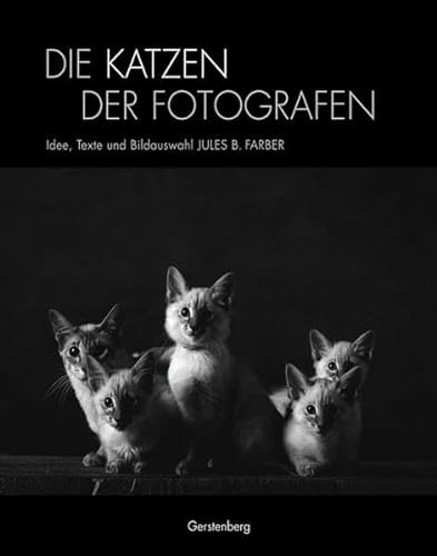 Stock image for Die Katzen der Fotografen for sale by WorldofBooks