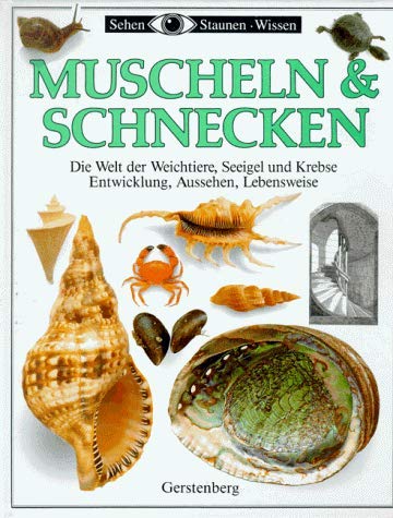 Beispielbild fr Muscheln & Schnecken. die Welt der Weichtiere, Seeigel und Krebse ; Entwicklung, Aussehen, Lebensweise. zum Verkauf von Neusser Buch & Kunst Antiquariat