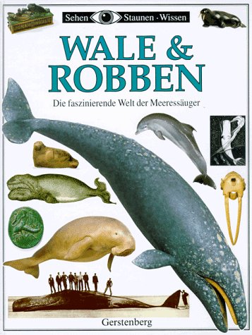 9783806744514: Sehen, Staunen, Wissen: Wale und Robben. Die faszinierende Welt der Meeressuger