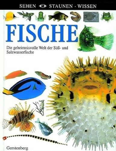 9783806745481: Fische. Die geheimnisvolle Welt der S- und Salzwasserfische;