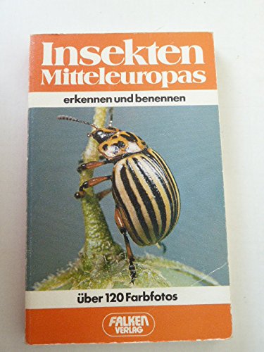 9783806805888: Insekten Mitteleuropas erkennen und benennen.