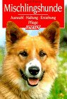 Beispielbild fr Mischlingshunde. Auswahl, Haltung, Erziehung, Pflege. zum Verkauf von Ammareal