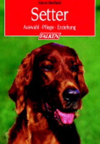 Setter Auswahl-Pflege-Erziehung