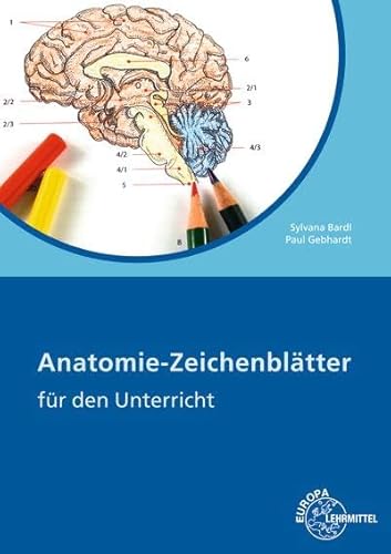 Anatomie Zeichenblätter : Für den Unterricht - Paul Gebhardt