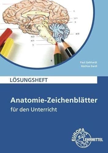 Beispielbild fr Anatomie Zeichenbltter. Lsungsheft: Deutsch und Fachbezeichnung zum Verkauf von medimops