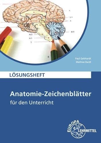 Stock image for Anatomie Zeichenbltter. Lsungsheft: Deutsch und Fachbezeichnung for sale by medimops