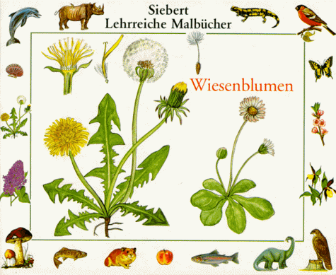 Imagen de archivo de Lehrreiche Malbcher - Wiesenblumen a la venta por medimops