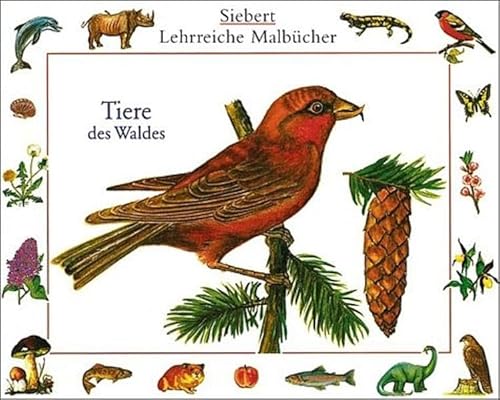 9783808935040: Tiere des Waldes