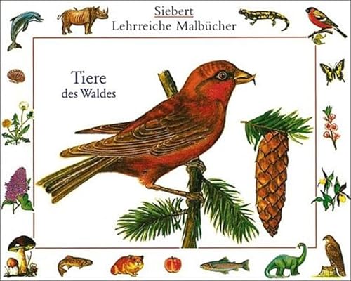 Imagen de archivo de Tiere des Waldes a la venta por Books Unplugged