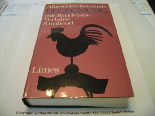 Imagen de archivo de Begegnung mit Baudelaire, Verlaine, Rimbaud. Neue bertragungen. Franzsisch - deutsch a la venta por medimops