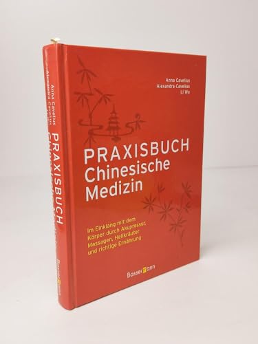 Beispielbild fr Praxisbuch Chinesische Medizin zum Verkauf von medimops