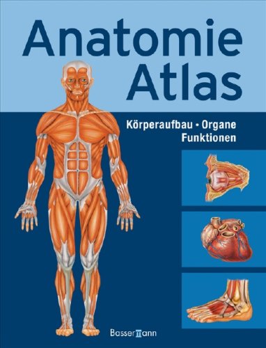 9783809422631: Anatomie-Atlas: Krperbau . Organe . Funktionen