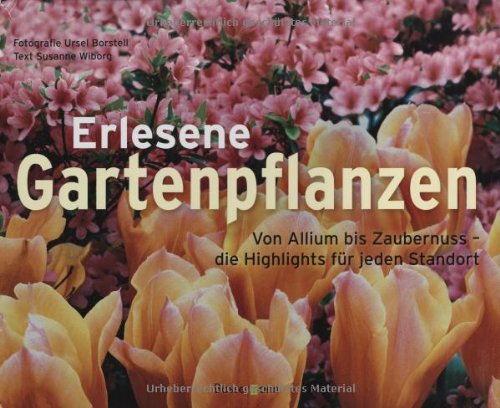 Stock image for Erlesene Gartenpflanzen : von Allium bis Zaubernuss - die Highlights fr jeden Standort. Fotogr. Ursel Borstell. Text Susanne Wiborg. [Red.: Herta Winkler] for sale by Preiswerterlesen1 Buchhaus Hesse