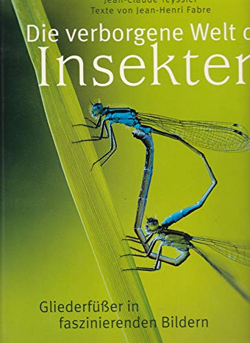 Beispielbild fr Die verborgene Welt der Insekten: Gliederfer in faszinierenden Bildern zum Verkauf von medimops