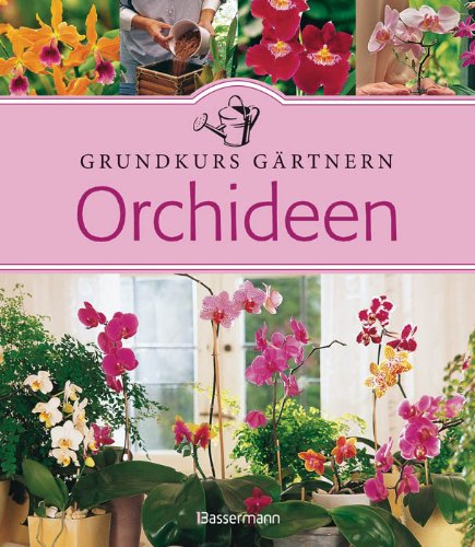 Orchideen: Grundkurs Gärtnern