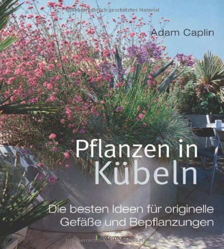 Stock image for Pflanzen in Kbeln: Die besten Ideen fr originelle Gefe und Bepflanzungen for sale by medimops