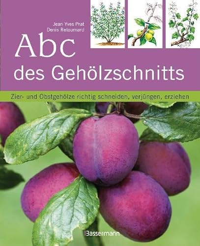 Beispielbild fr Abc des Gehlzschnitts: Zier- und Obstgehlze richtig schneiden, verjngen, erziehen zum Verkauf von medimops