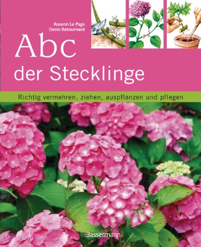 Beispielbild fr Abc der Stecklinge: Richtig vermehren, ziehen, auspflanzen und pflegen zum Verkauf von medimops