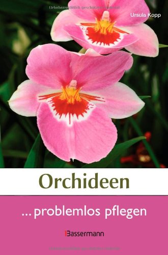 Stock image for Orchideen problemlos pflegen for sale by medimops