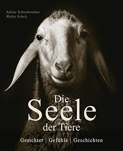 Stock image for Die Seele der Tiere: Gesichter . Gefhle . Geschichten for sale by medimops