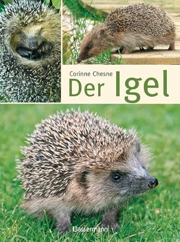 Beispielbild fr Der Igel zum Verkauf von medimops