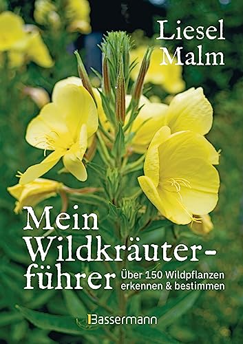 Beispielbild fr Mein Wildkruterfhrer. ber 150 Wildpflanzen sammeln, erkennen & bestimmen. zum Verkauf von GreatBookPrices