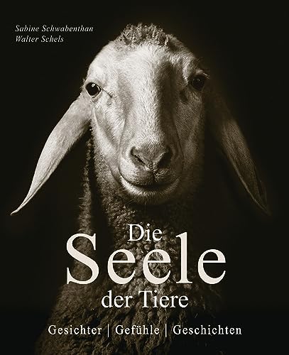 Stock image for Die Seele der Tiere. Gesichter. Gefhle. Geschichten for sale by GreatBookPrices