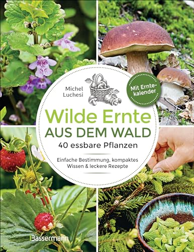 Stock image for Wilde Ernte aus dem Wald - 40 essbare Pflanzen - einfache Bestimmung, kompaktes Wissen und leckere Rezepte for sale by PBShop.store US