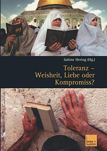 Stock image for Toleranz Weisheit, Liebe Oder Kompromiss?: Multikulturelle Diskurse Und Orte for sale by Chiron Media