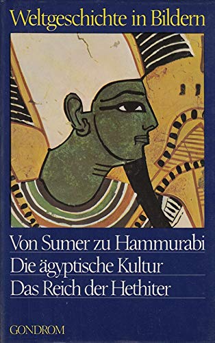 Beispielbild fr Weltgeschichte in Bildern Band 1: Von Sumer Zu Hammurabi, Die gyptische Kultur, Das Reich Der Hethiter zum Verkauf von Versandantiquariat Kerzemichel