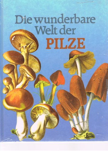 Stock image for Die wunderbare Welt der Pilze for sale by medimops