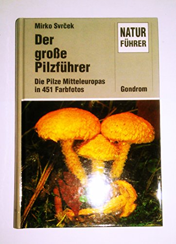 Stock image for Der groe Pilzfhrer. Die Pilze Mitteleuropas in 451 Farbfotos for sale by Bcherpanorama Zwickau- Planitz